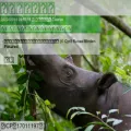 03k.org 03k.org