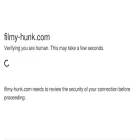 1filmyhunk.com 1filmyhunk.com