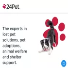 24pet.com