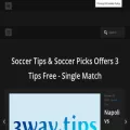 3way.tips