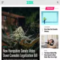 420-reports.com