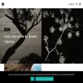 9lives-magazine.com