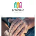 academie-nationale-cuisine.fr