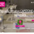 academievin.fr