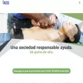 acesint.org acesint.org
