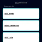 aceterrier.com aceterrier.com