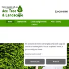 acetreelandscapestcloudmn.com