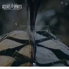 acevesspirits.com acevesspirits.com