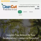 acleancuttree.com