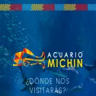 acuariomichin.com