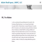 adamrodriquezlmhc.com adamrodriquezlmhc.com