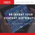 adaptive-channel.com adaptive-channel.com