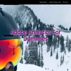 adobeanalyticsfordummies.com