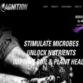 agnition.com