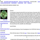 aia.lmsal.com aia.lmsal.com