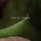 airdutemps.be