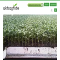 akbasfide.com akbasfide.com