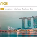 akgi-sg.com