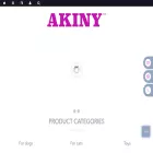 akiny.com