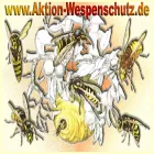 aktion-wespenschutz.de