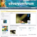 akvaryumforum.com