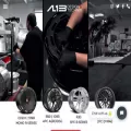 al13wheels.com