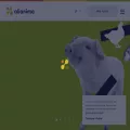 alianima.org alianima.org