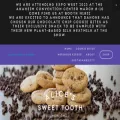 alicessweettooth.com alicessweettooth.com
