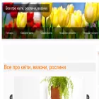 allflower.in.ua allflower.in.ua