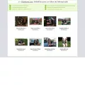 allprogram.org allprogram.org