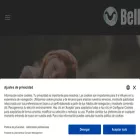almohadasbellson.es almohadasbellson.es