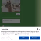 alpacalokeren.be alpacalokeren.be