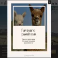 alpacos.lt alpacos.lt