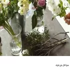 alrefgifts.com