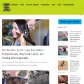 amazingpandph.com