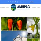 amhpac.org