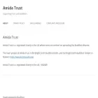 amidatrust.com