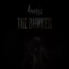 amnesiathebunker.com