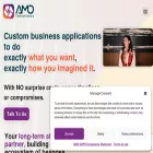 amoconsultancy.com amoconsultancy.com