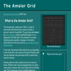 amslergrid.org