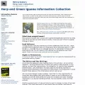 anapsid.org