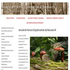 ancientforest.org ancientforest.org