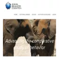 animalbehaviorandcognition.org