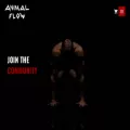 animalflow.com animalflow.com
