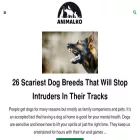 animalko.com animalko.com