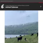 ansci.wsu.edu ansci.wsu.edu