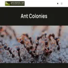 antcolonies.net antcolonies.net