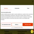 antinautokoulu.fi antinautokoulu.fi