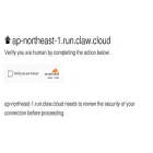 ap-northeast-1.run.claw.cloud ap-northeast-1.run.claw.cloud