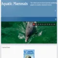 aquaticmammalsjournal.org